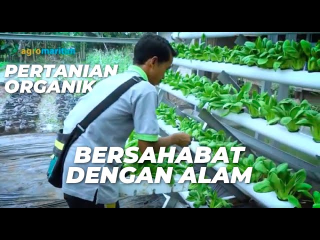 Petani Milenial Inspiratif, Penggerak Kebun Pertanian Organik ‼️