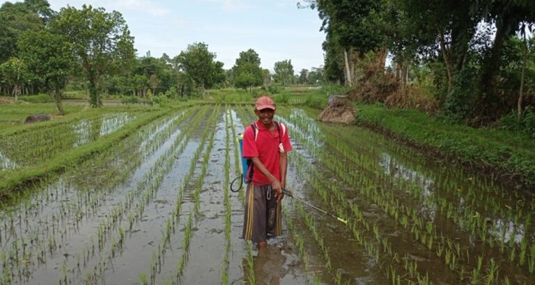 Kementan Dorong Pelaku Usaha Terjun ke Bisnis Pertanian Organik