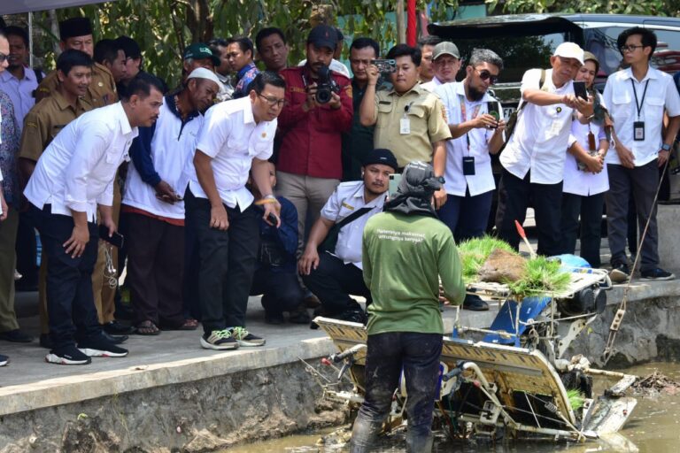 Plt Mentan Panen Raya dan Tanam Padi di Sukoharjo