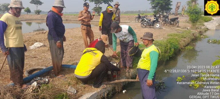 Amankan Musim Tanam 2023/2024, Kementan Lakukan Pengendalian Tikus di Karawang