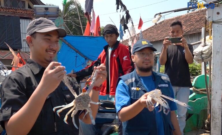 KKP gandeng Forkom Nelayan dan FishLog Perkuat Pemasaran Rajungan
