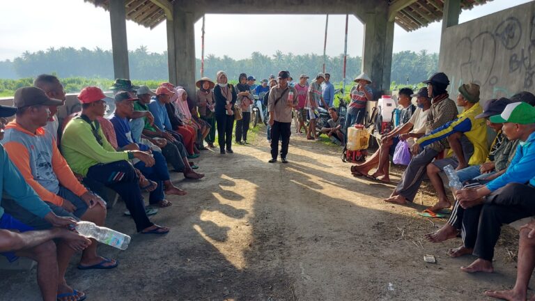 Kementan Bersama Petani Kulon Progo Kolaborasi Kendalikan Hama Wereng