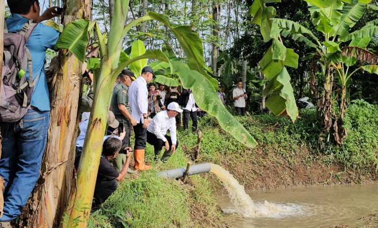 Mentan Amran Gencarkan Pompanisasi untuk Bantu Petani Tingkatkan Produksi Ditengah El Nino